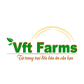 Đậu bắp - Chuỗi an toàn thực phẩm Việt Nam