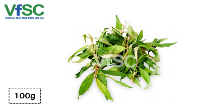 Rau răm - Chuỗi an toàn thực phẩm Việt Nam