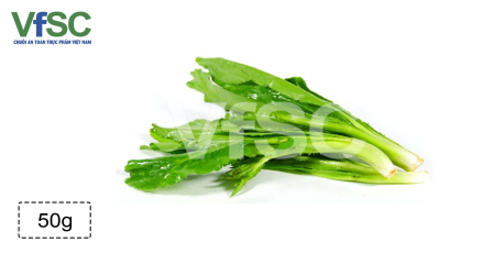 Mùi tàu/ Ngò gai