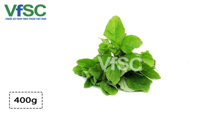 Dền xanh Hoàng Gia