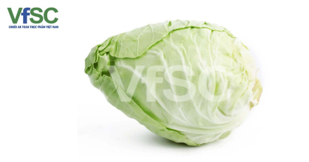 Bắp cải trái tim