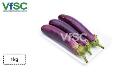 Cà tím dài