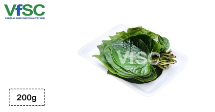 Lá lốt