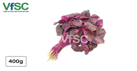 Dền đỏ Hoàng Gia