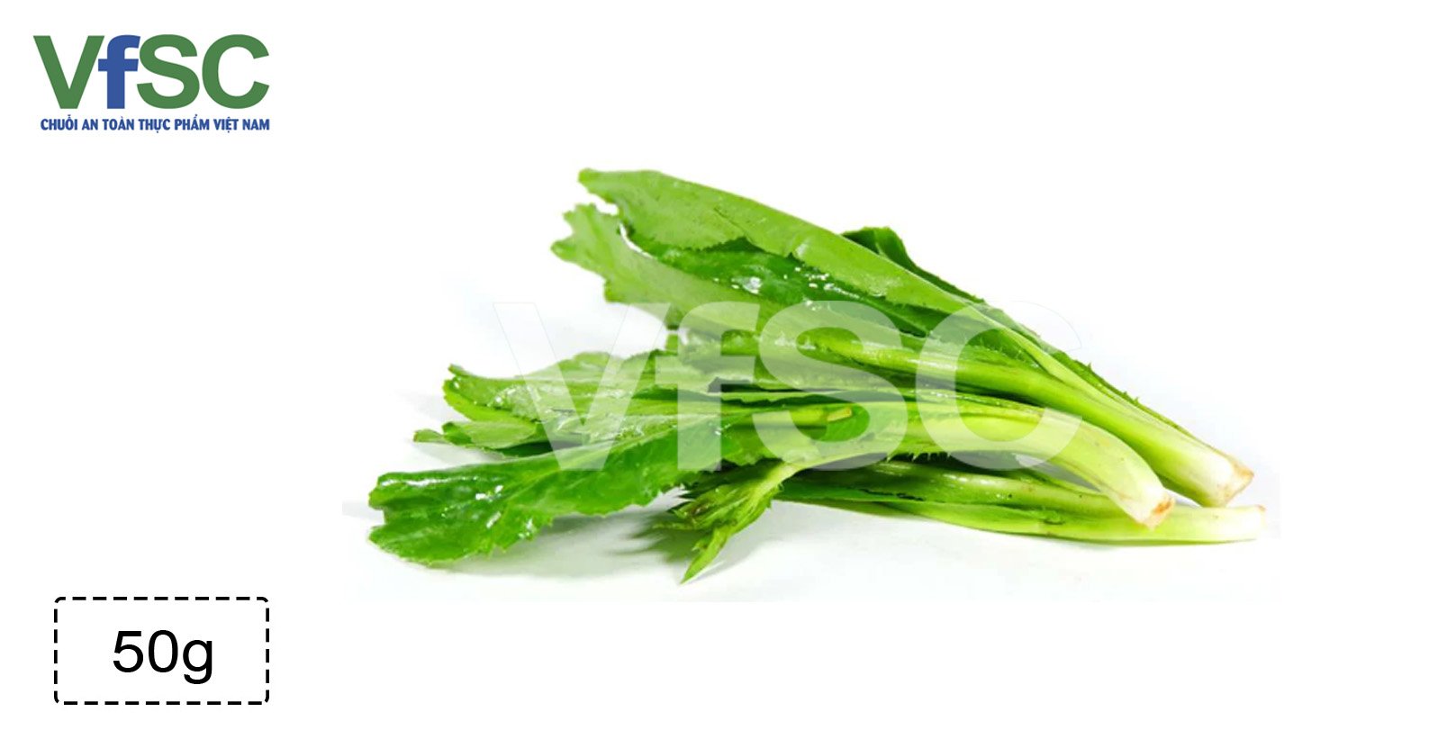 Mùi tàu/ Ngò gai