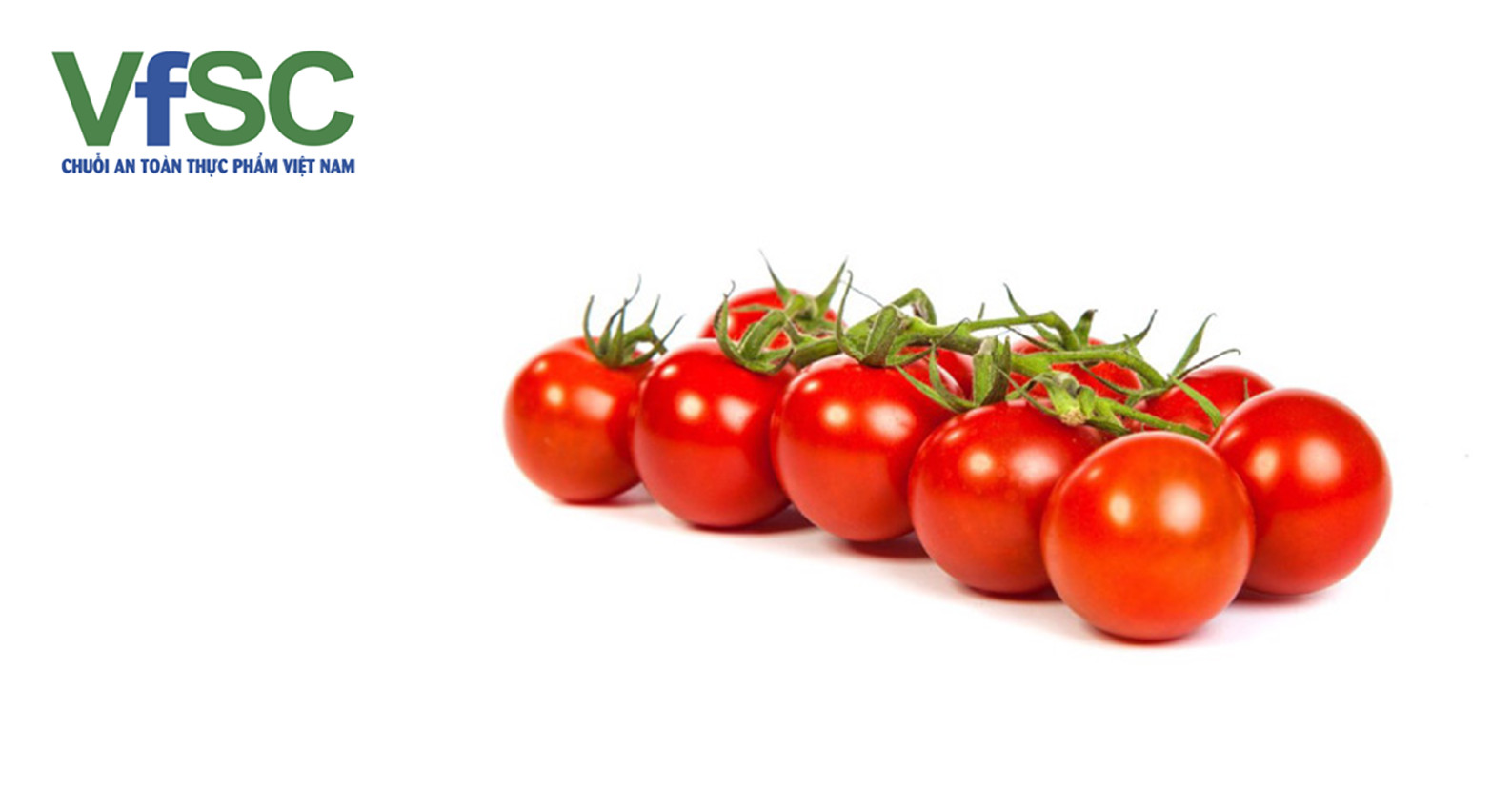 Cà chua bi đỏ