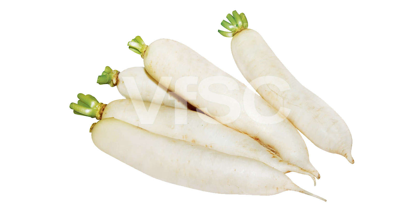 Củ cải trắng