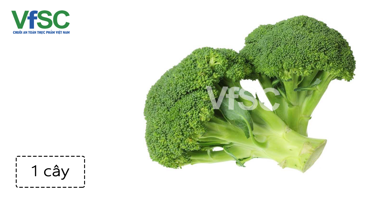 Suplơ xanh