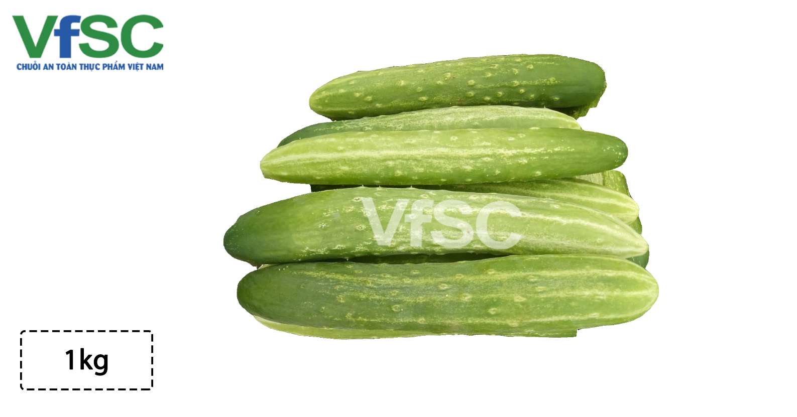 Dưa chuột nếp Hoàng Gia